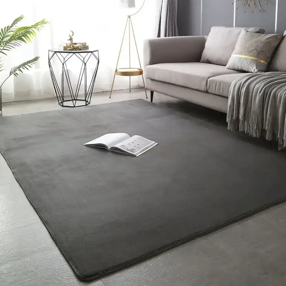Minimalist Coral Fleece Carpet, shown in a styled room